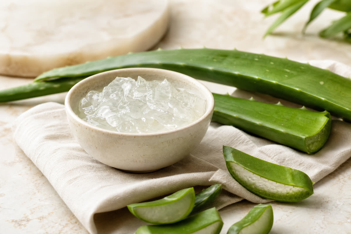 Aloe Vera ingredient guide